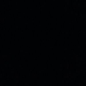 Meet your Posher, Shane